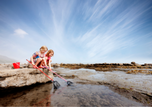 Trying to grab a crab!