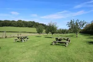 exmoor