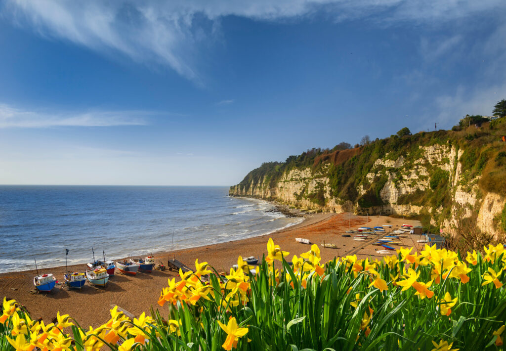 Spring Holiday in Devon scaled 1