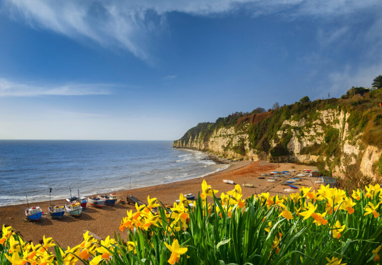 Spring Holiday in Devon scaled 1