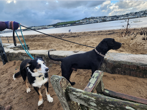 The Benefits of a Spring Holiday in Devon 1 The Benefits of a Spring Holiday in Devon 1