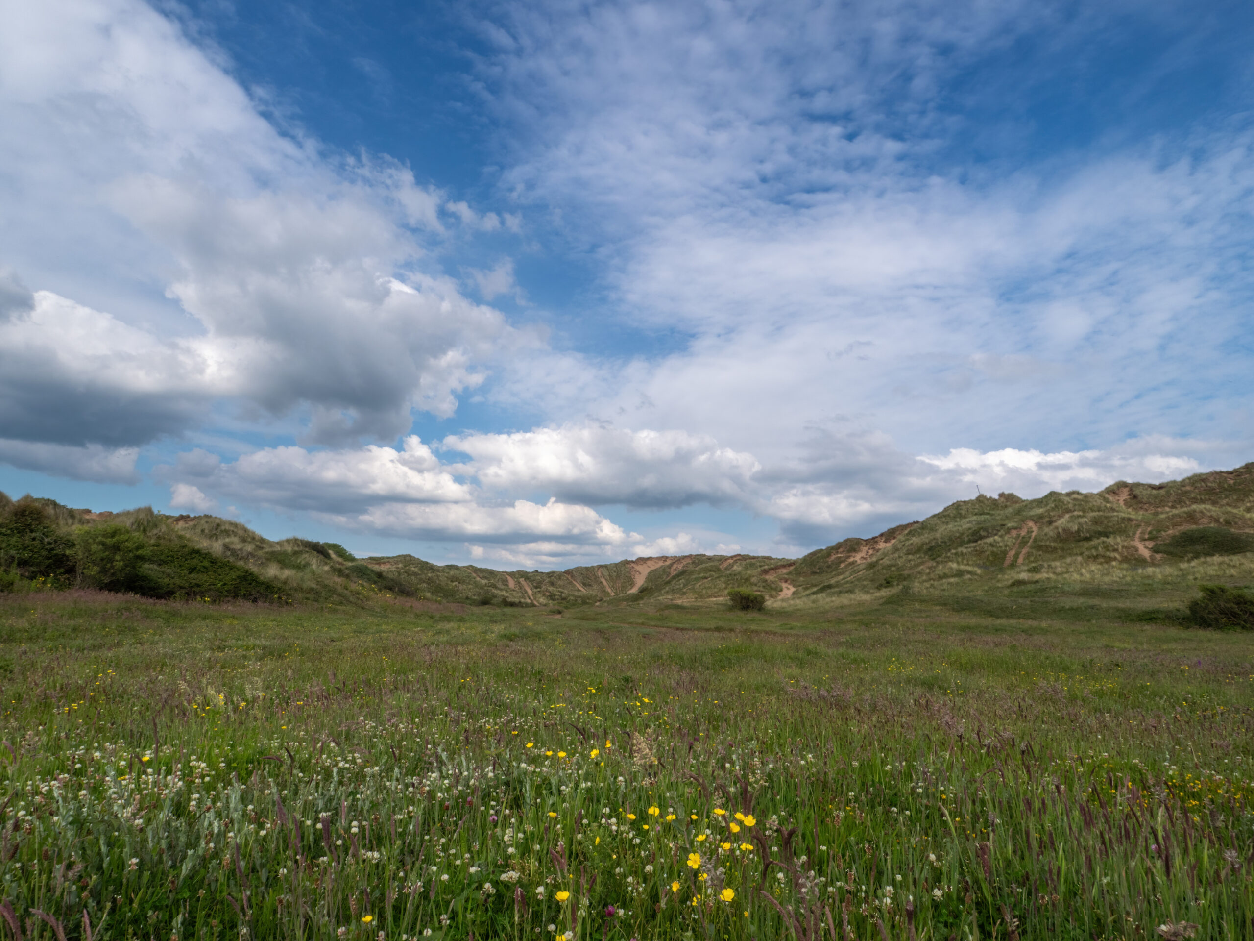 North Devon Biosphere