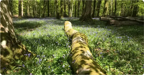 Half Term North Devon Holiday Offer Blog Post Exmoor National Park 2025 12 1