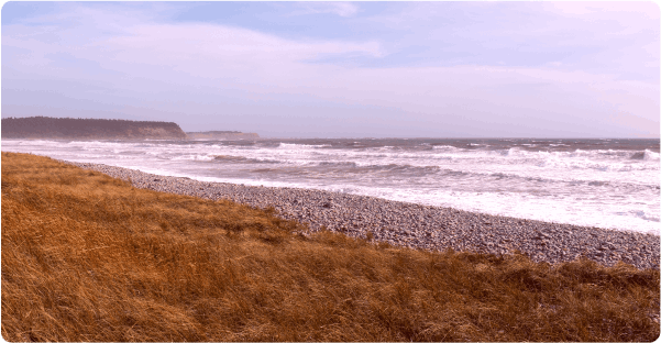 North Devon Resort Single Blog Best Beaches North Devon Image Dunster Beach 2