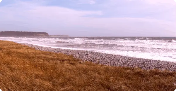 North Devon Resort Single Blog Best Beaches North Devon Image Dunster Beach 2