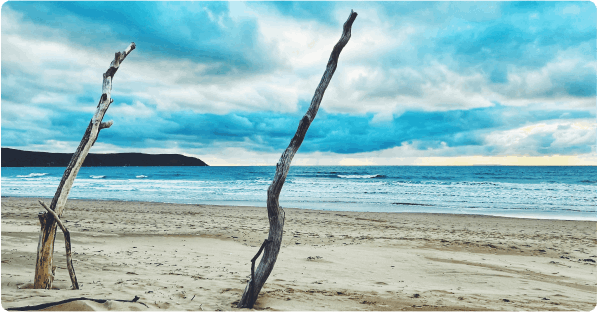 North Devon Resort Single Blog Best Beaches North Devon Image Woolacombe Beach