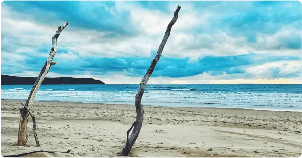 North Devon Resort Single Blog Best Beaches North Devon Image Woolacombe Beach