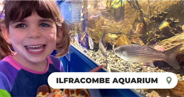 Off Peak Getaway Devon This March Blog Ilfracombe Aquarium Final 1 1