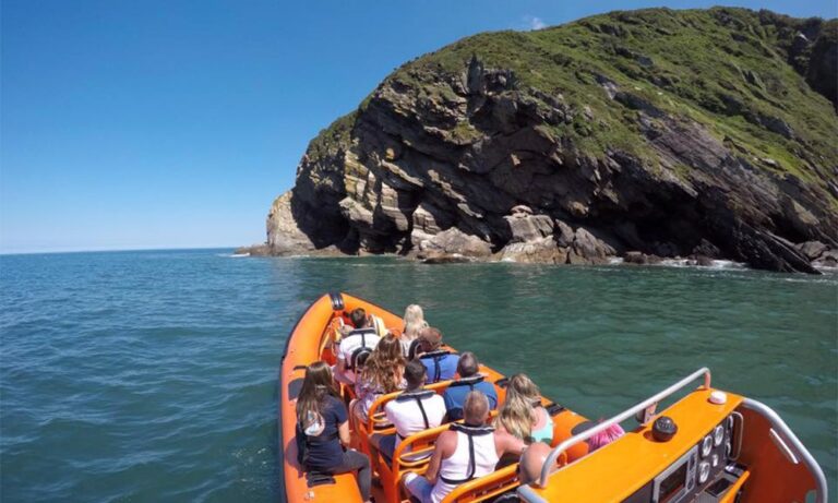 ilfracombe sea safari 31392