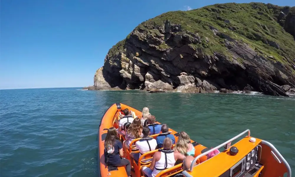 ilfracombe sea safari 31392