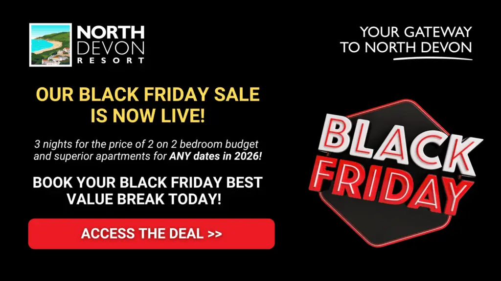 banner black friday (1)