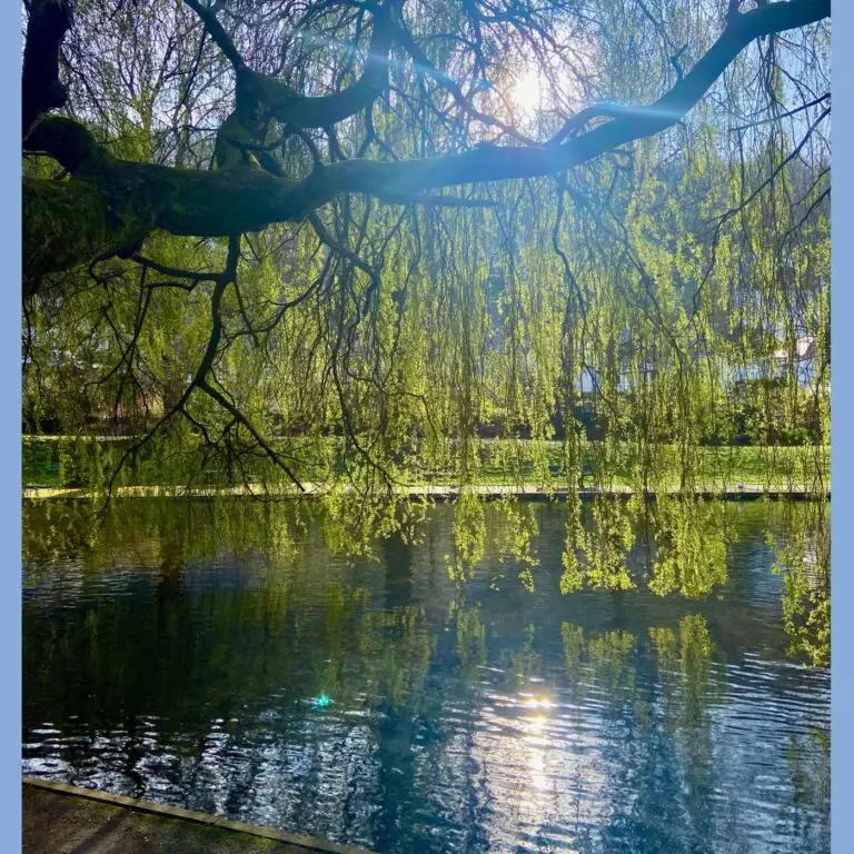 Bicclescombe Park, Ilfracombe