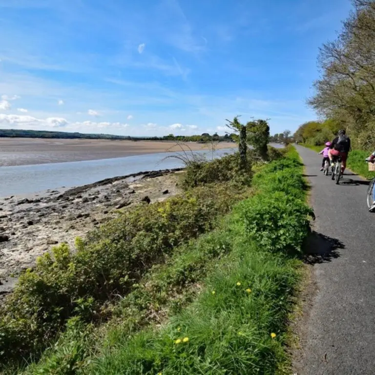 Cycling the Tarka Trail