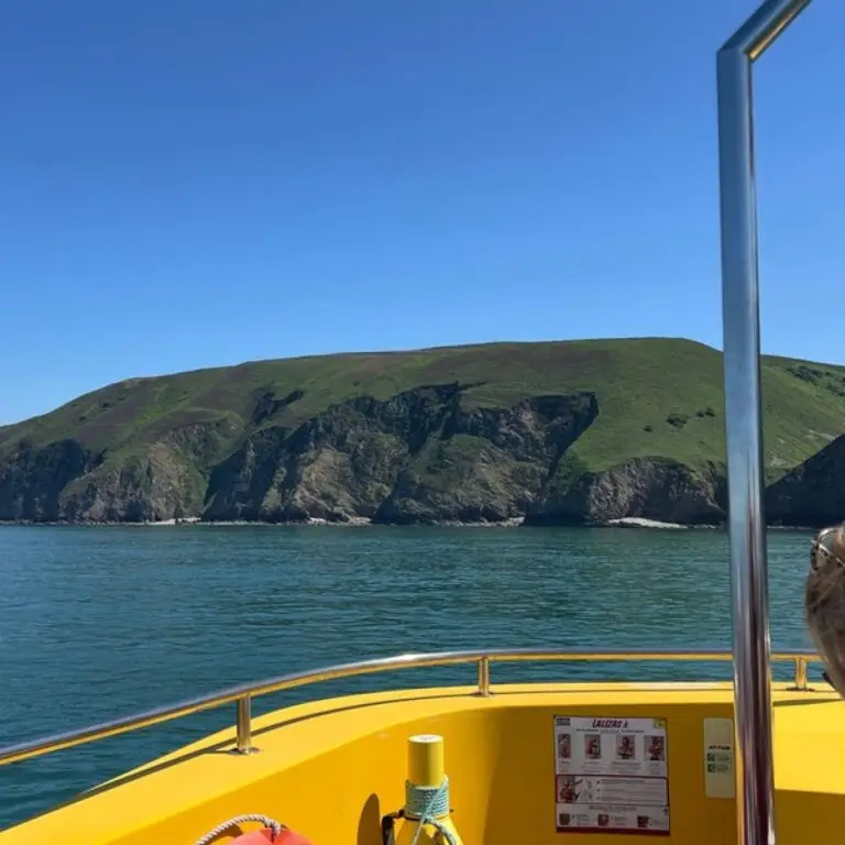 Ilfracombe Princess Boat Trip