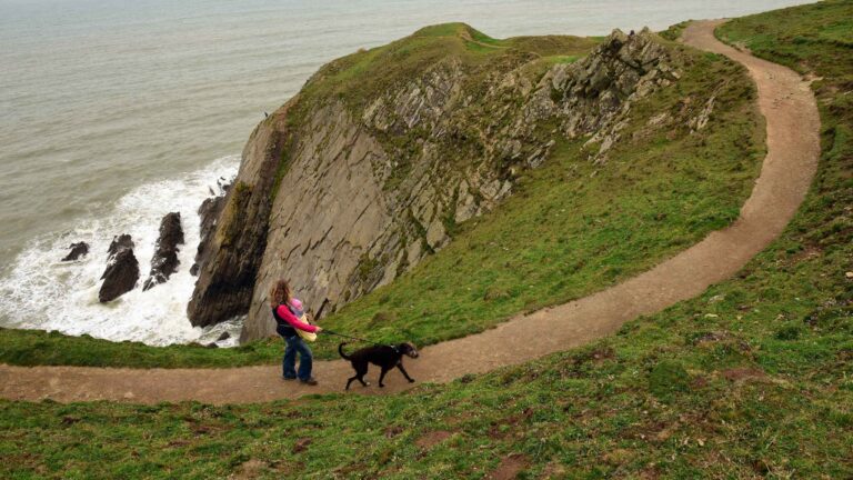 adult child dog walking cliff baggy point devon 1204387
