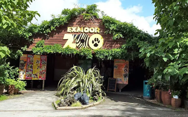 exmoorzoo