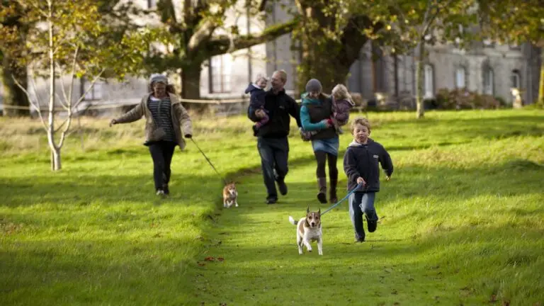 family walking dogs arlington court devon 891680