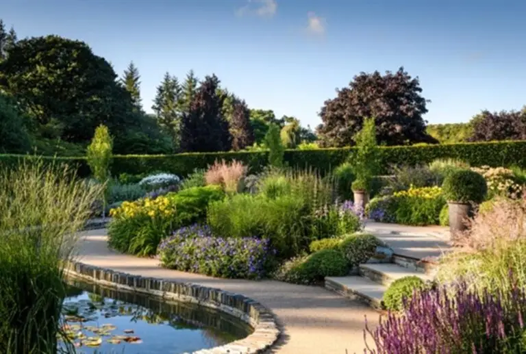 rhs new 1 1503794936