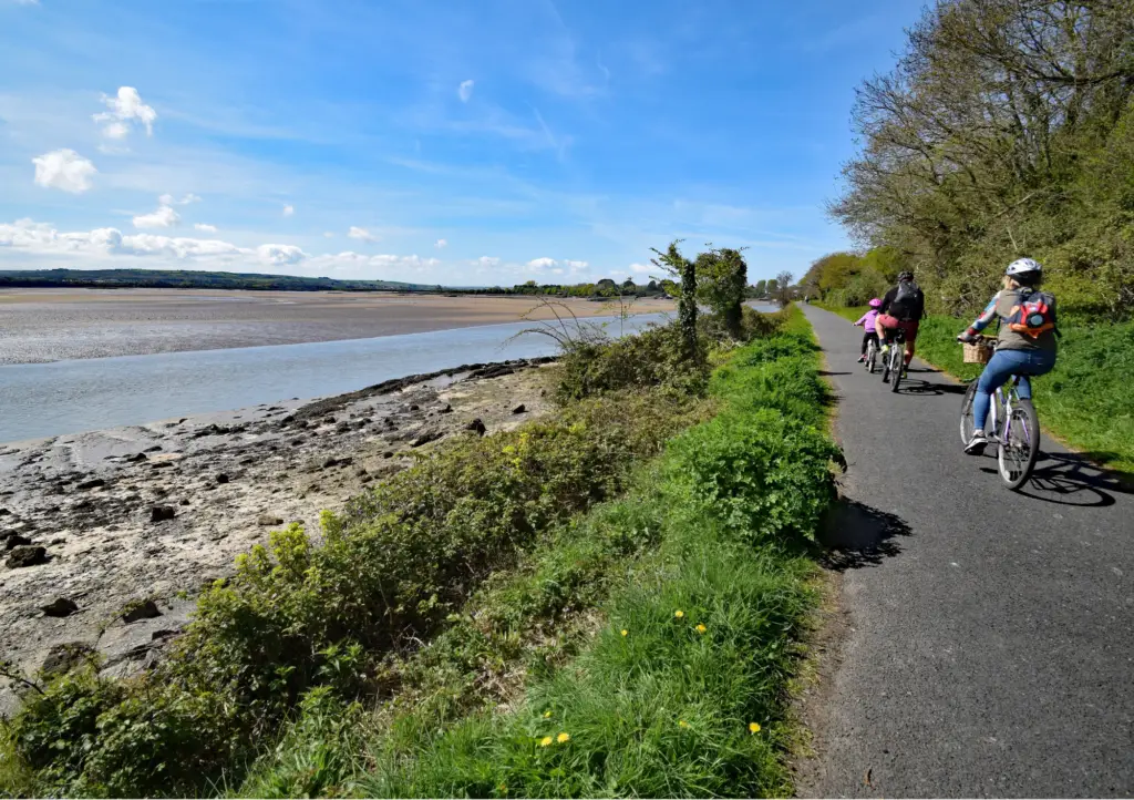 cycle ride tarka trail