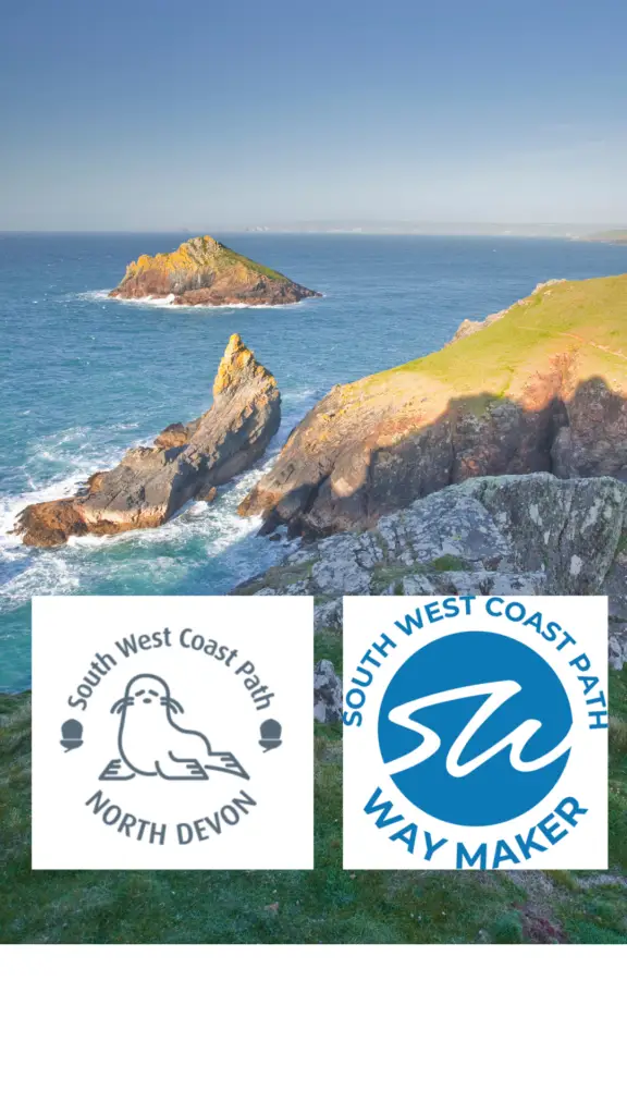SWCP way maker blue digital sticker