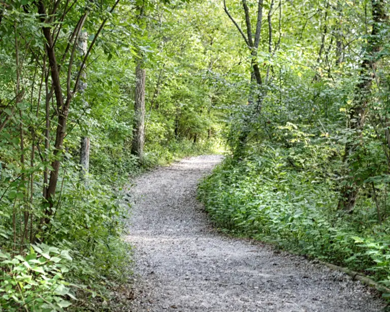 117 Walking Drakes Trail