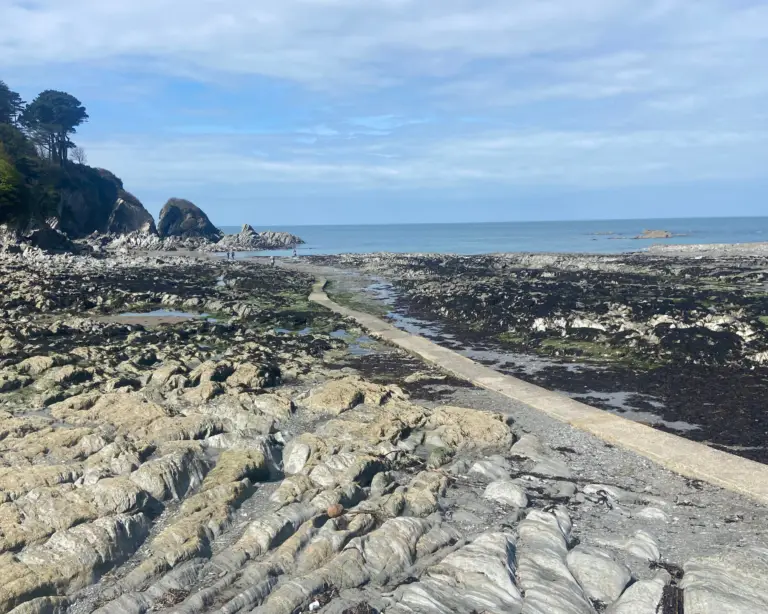 124 Things to do in Lee Bay